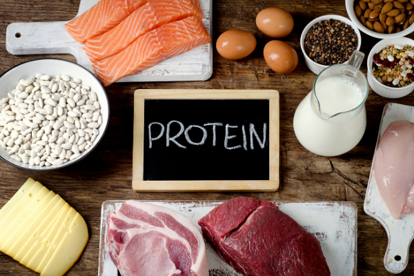 Protein giúp tăng cường đốt cháy chất béo trong cơ thể