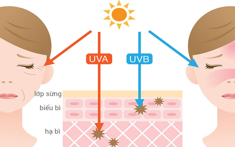 Ánh nắng mặt trời hại da