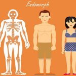 Endomorph