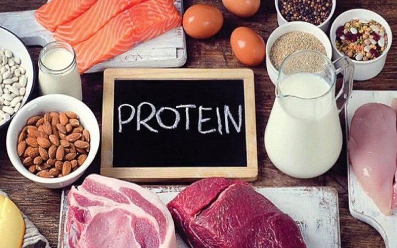 Protein giảm cân