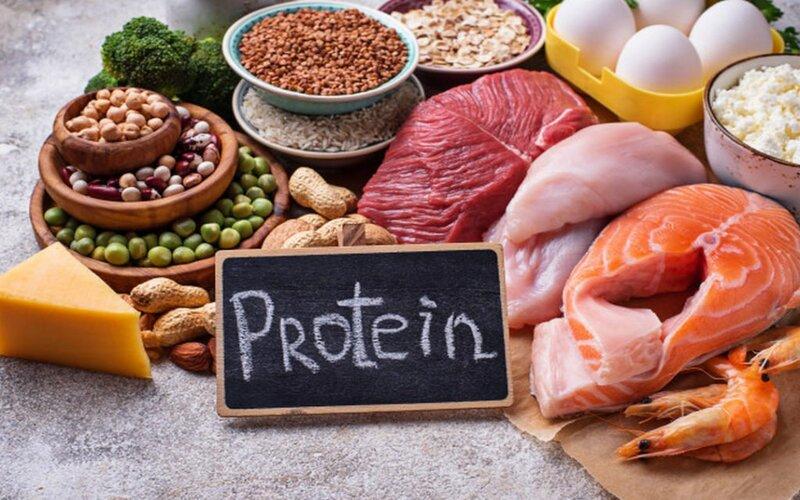 Protein từ thịt,cá