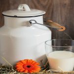 sữa không đường