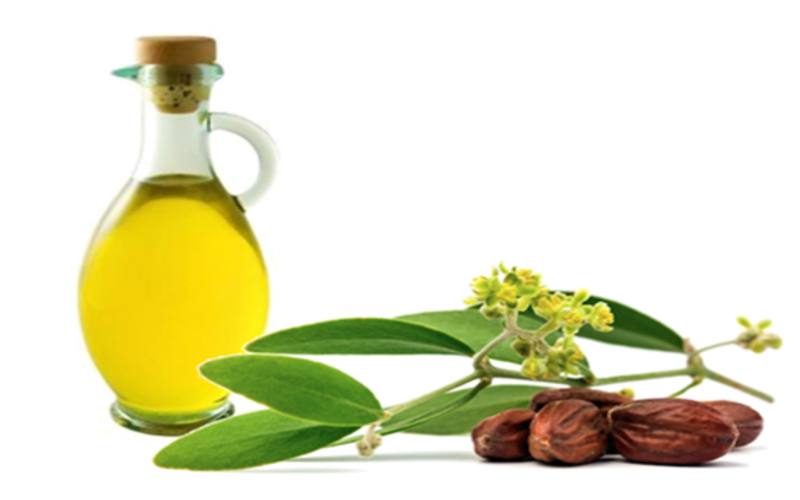 dưỡng ẩm Jojoba