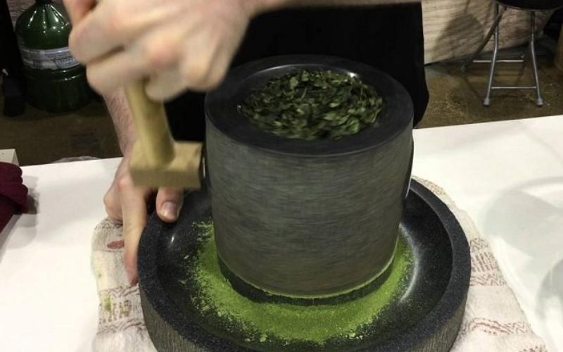 cách làm bột trà xanh đắp mặt