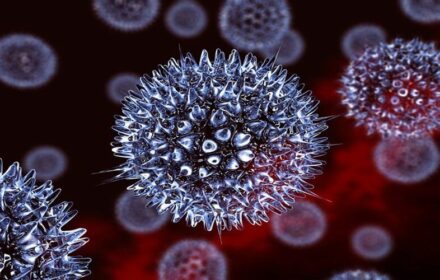 HERPES LÀ BỆNH GÌ? HERPES LÀ BỆNH GÌ?