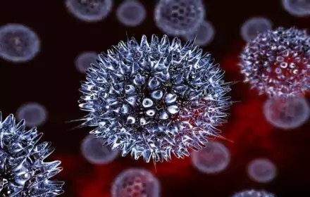 HERPES LÀ BỆNH GÌ? HERPES LÀ BỆNH GÌ?