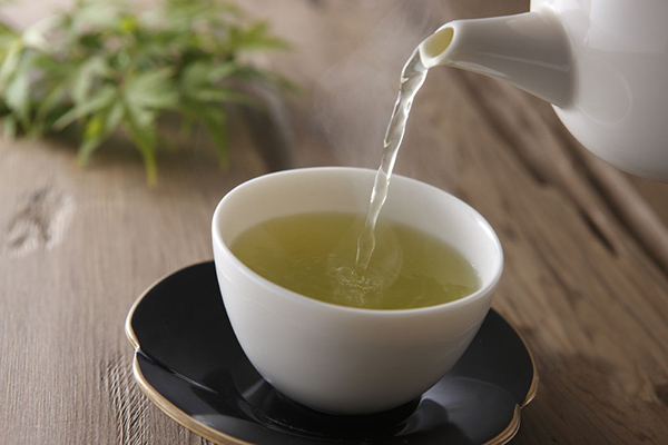 Trà xanh chứa EGCG hỗ trợ giảm viêm và kiểm soát dầu trên da mụn