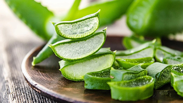 Tìm hiểu cách trị mụn ẩn bằng nha đam và chăm sóc da mụn