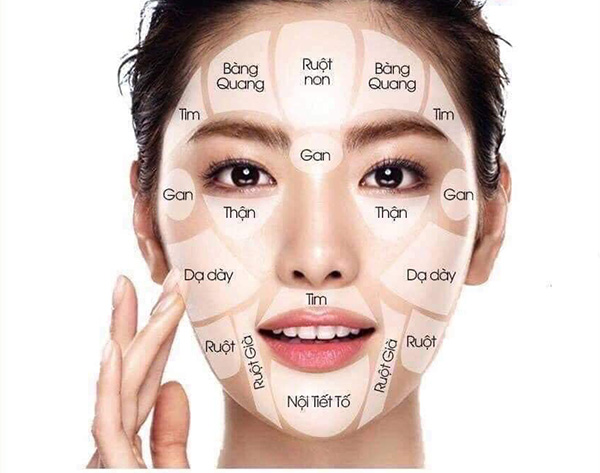 Tìm hiểu 12 vị trí mọc mụn trên mặt thường gặp và nguyên nhân hình thành mụn